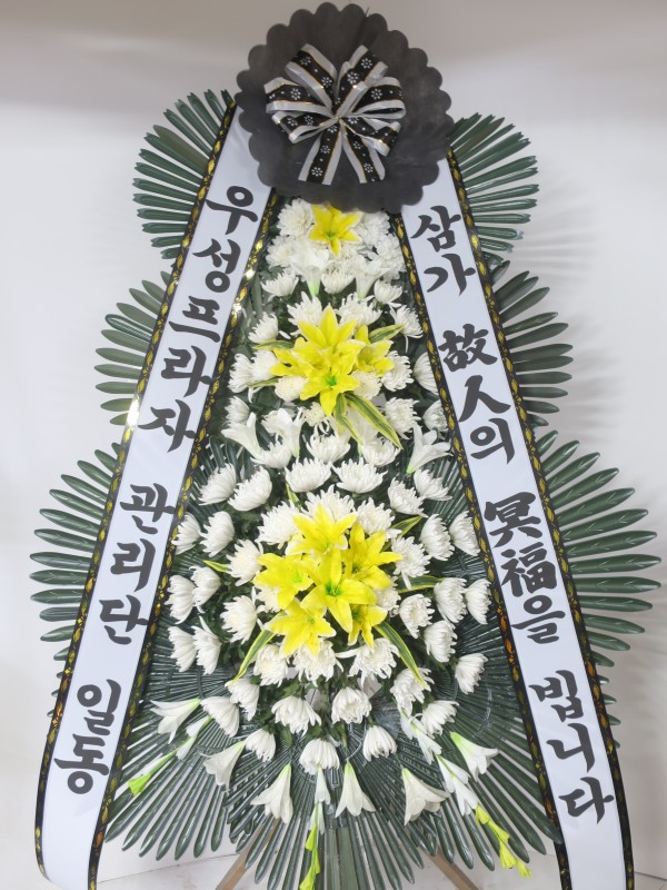 업로드 이미지