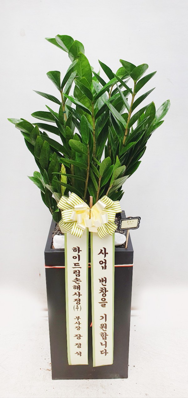 업로드 이미지