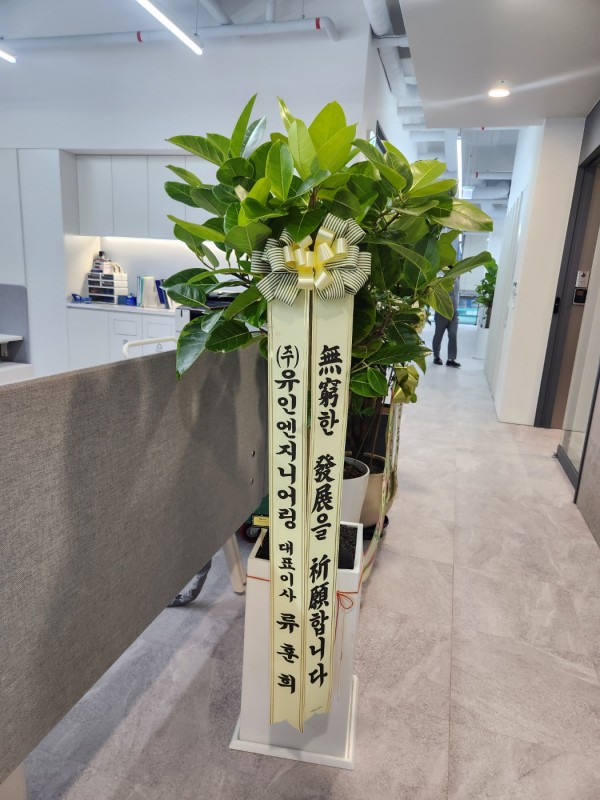 업로드 이미지