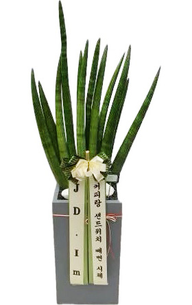 업로드 이미지