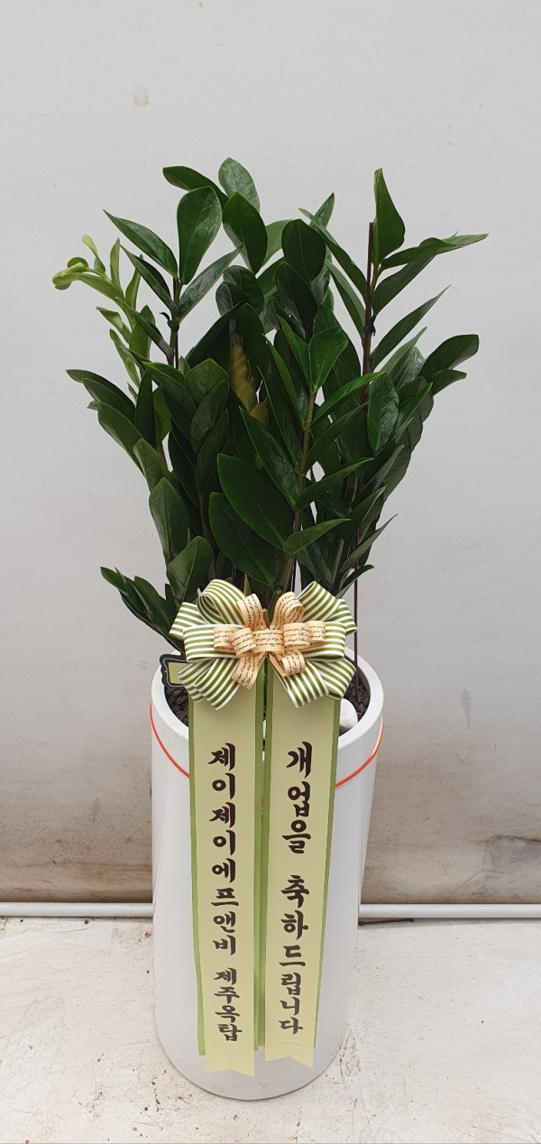 업로드 이미지