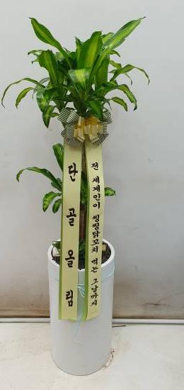 업로드 이미지