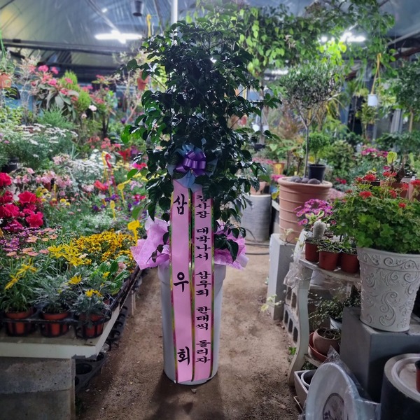 업로드 이미지