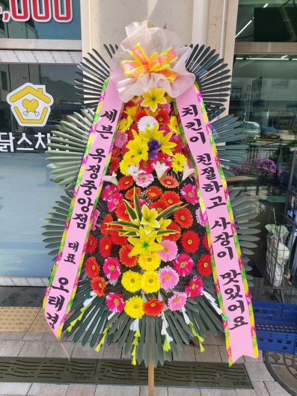 업로드 이미지