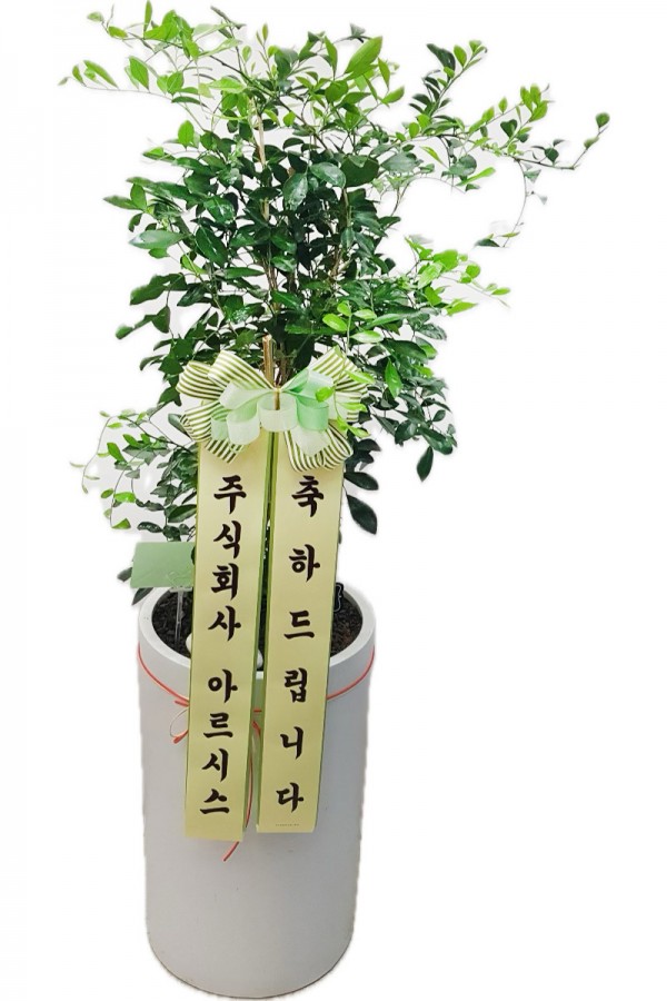 업로드 이미지