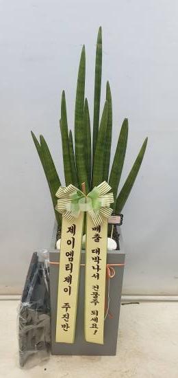 업로드 이미지