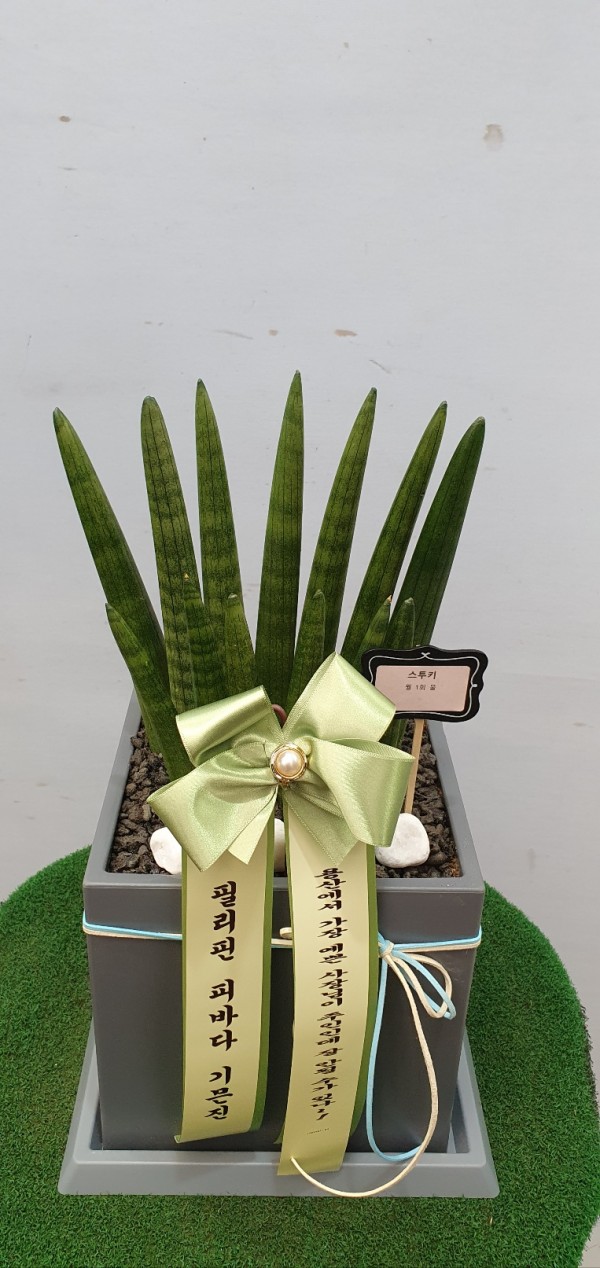 업로드 이미지