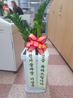 배송사진