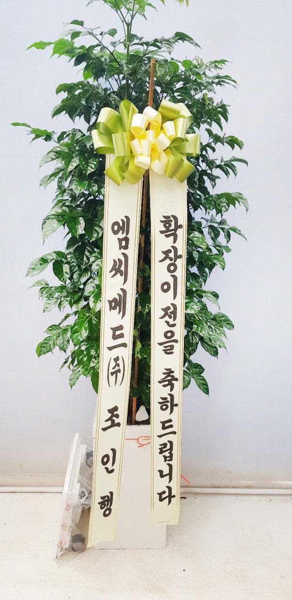 업로드 이미지