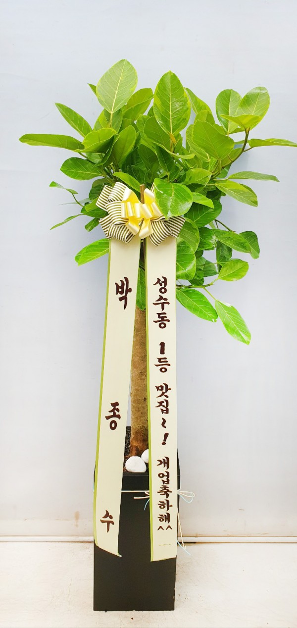 업로드 이미지