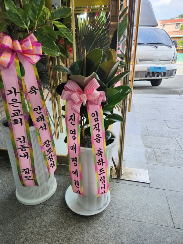 업로드 이미지