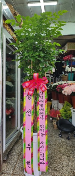 배송사진