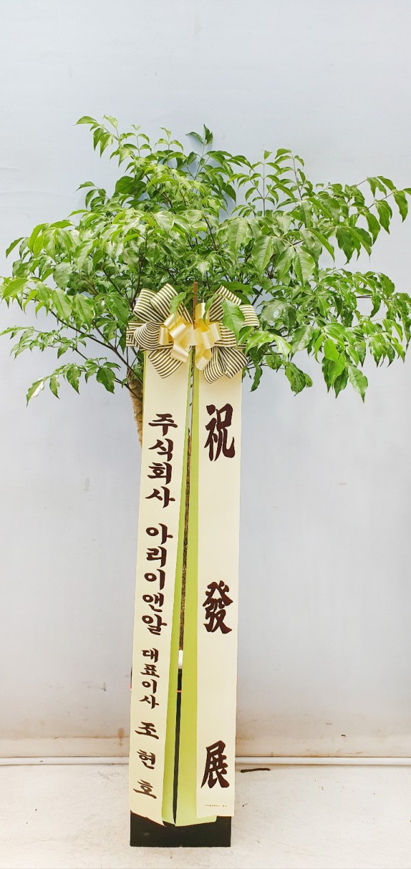 업로드 이미지