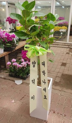 배송사진
