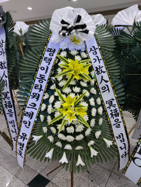 업로드 이미지