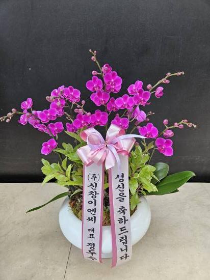 업로드 이미지