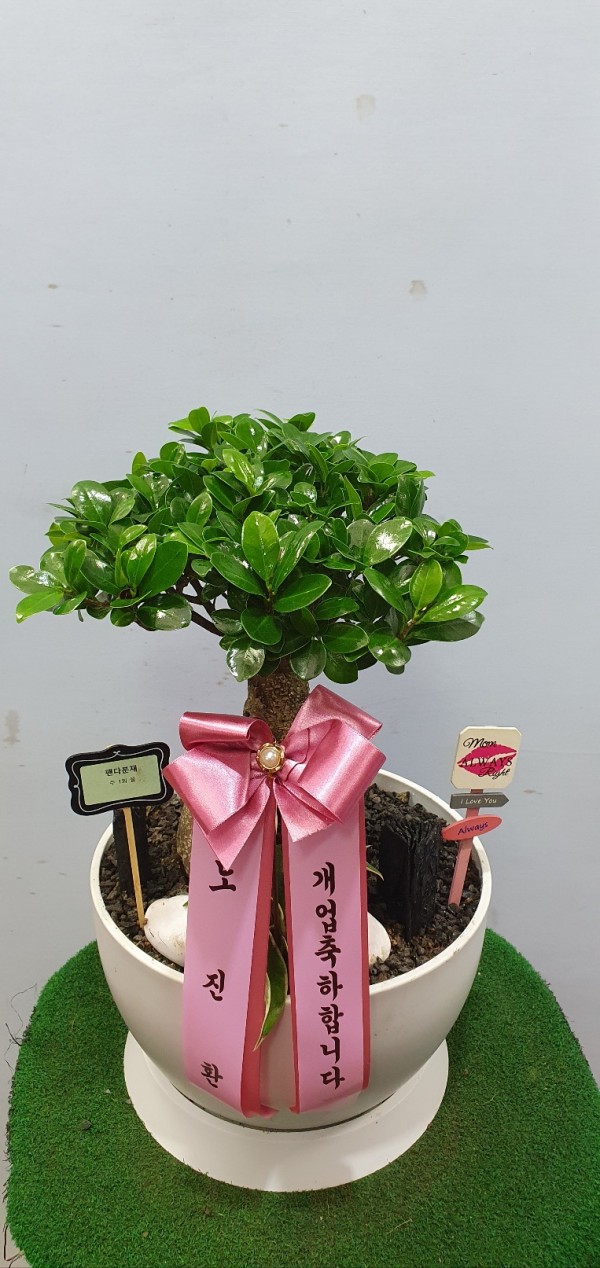 업로드 이미지