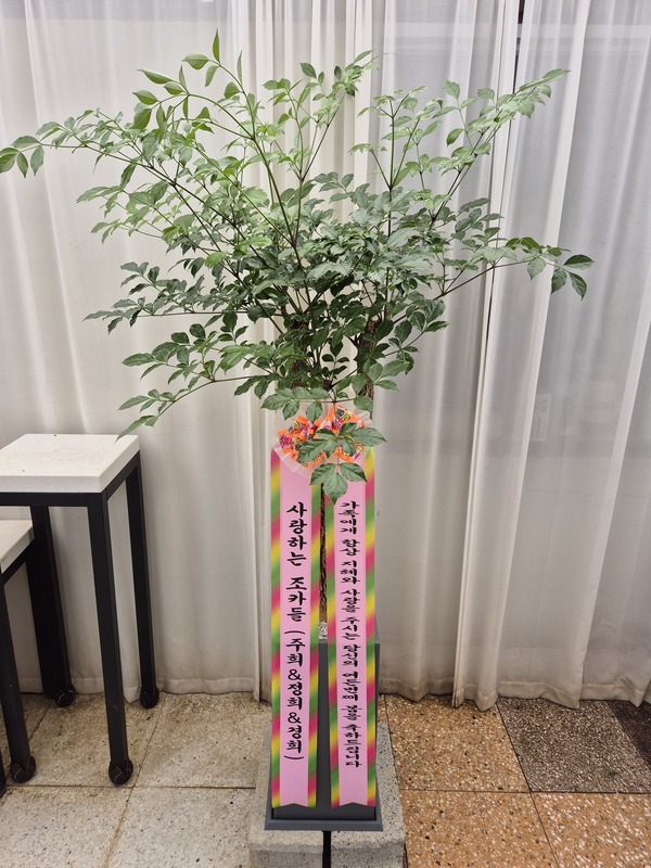 업로드 이미지