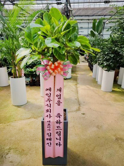 업로드 이미지