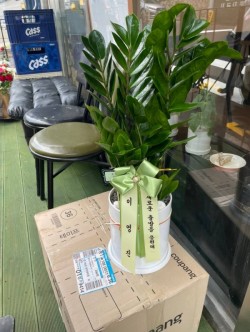 배송사진