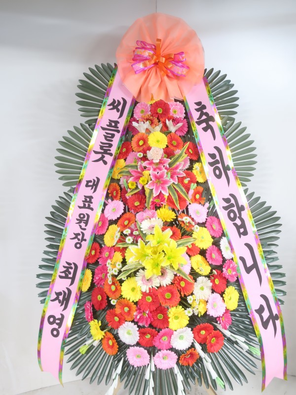 업로드 이미지