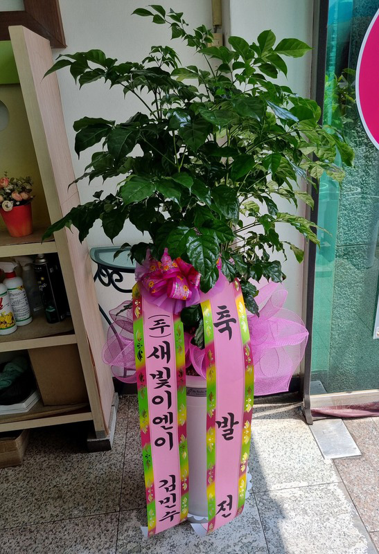 업로드 이미지