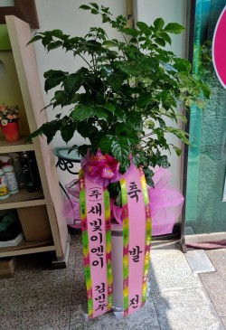 배송사진