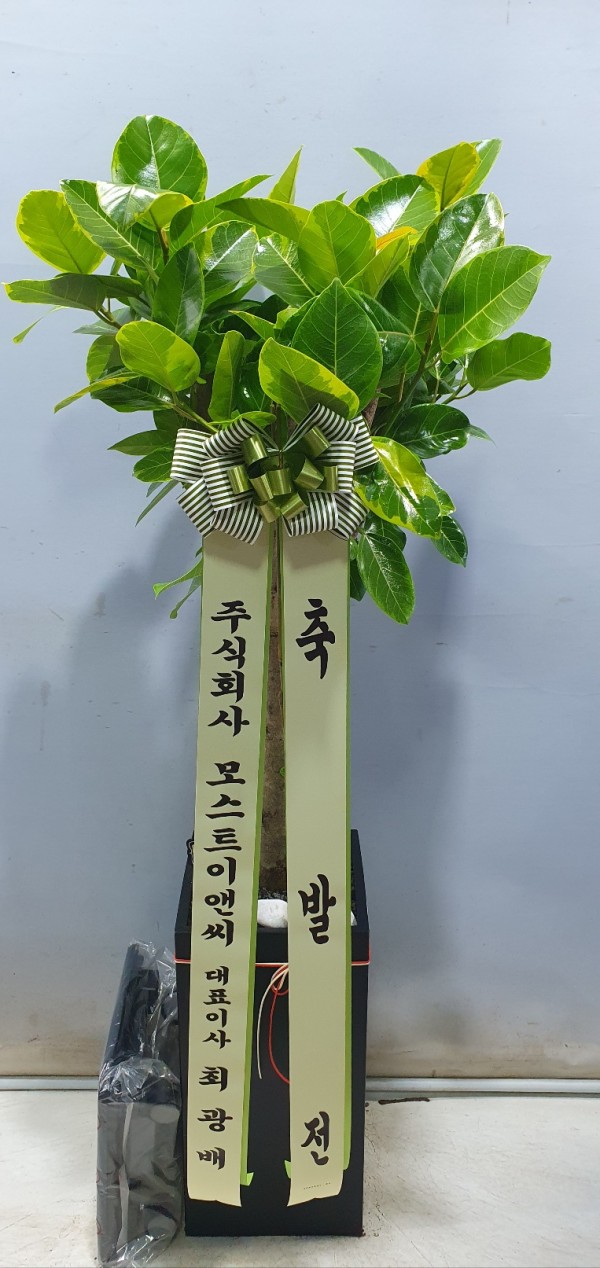 업로드 이미지