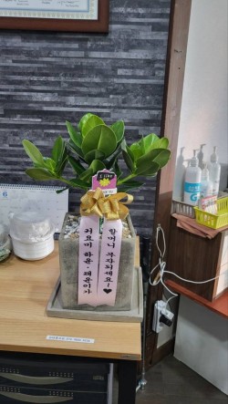배송사진