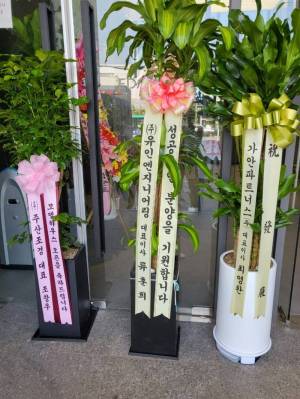 업로드 이미지