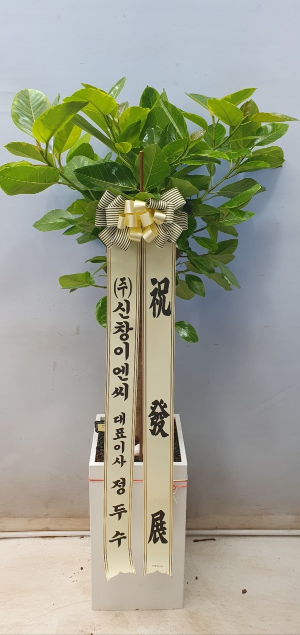 업로드 이미지