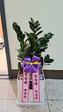 배송사진