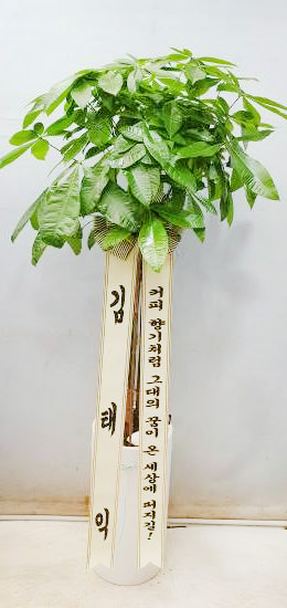 업로드 이미지