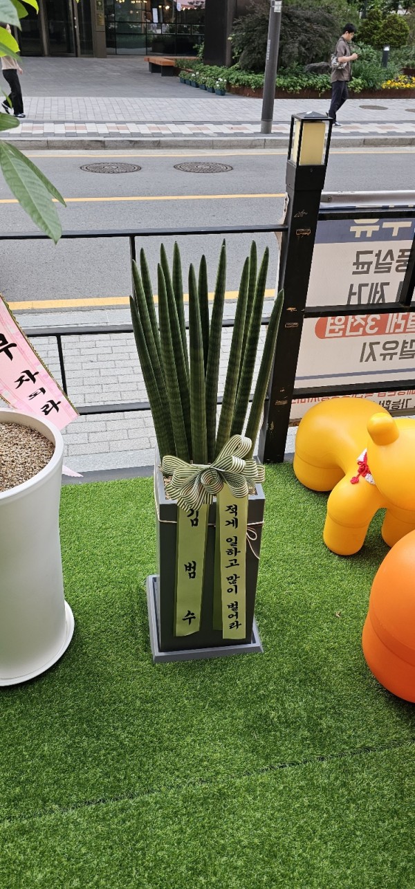 업로드 이미지