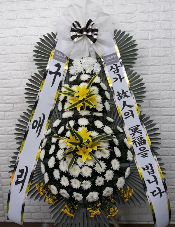 업로드 이미지