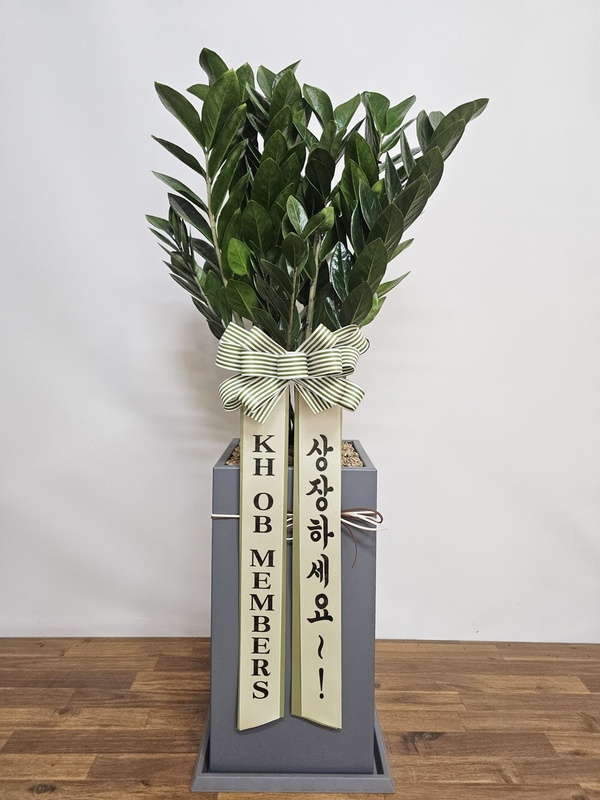 업로드 이미지