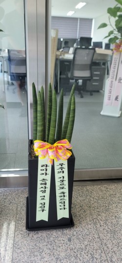 배송사진