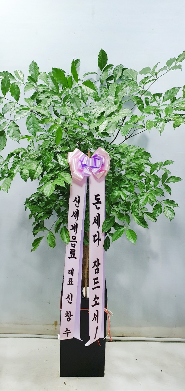업로드 이미지