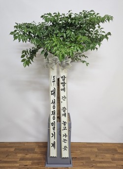 배송사진
