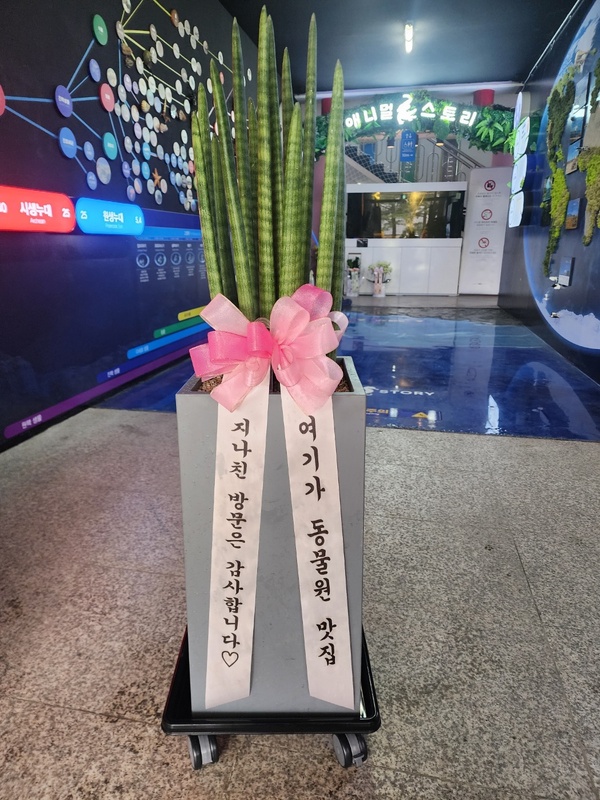 업로드 이미지
