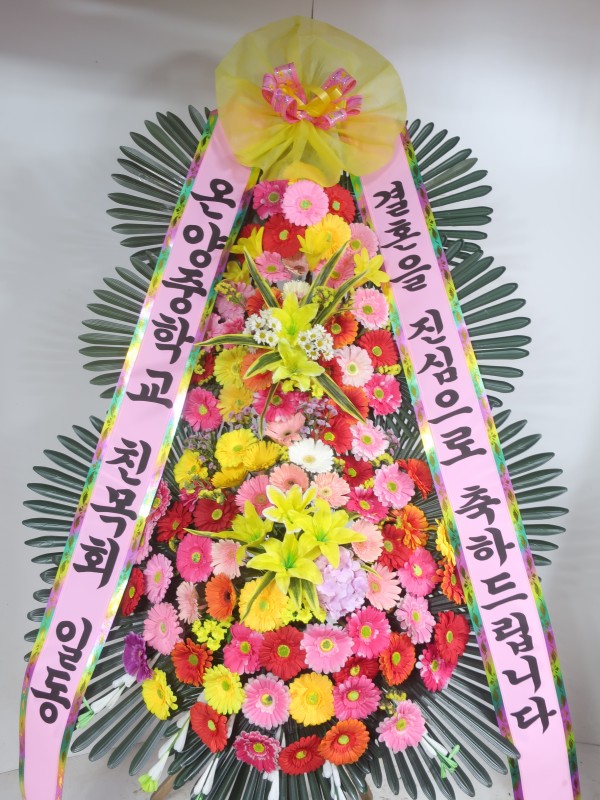 업로드 이미지