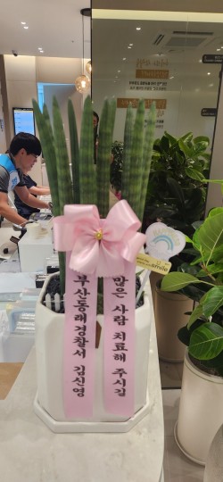 배송사진