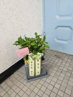배송사진