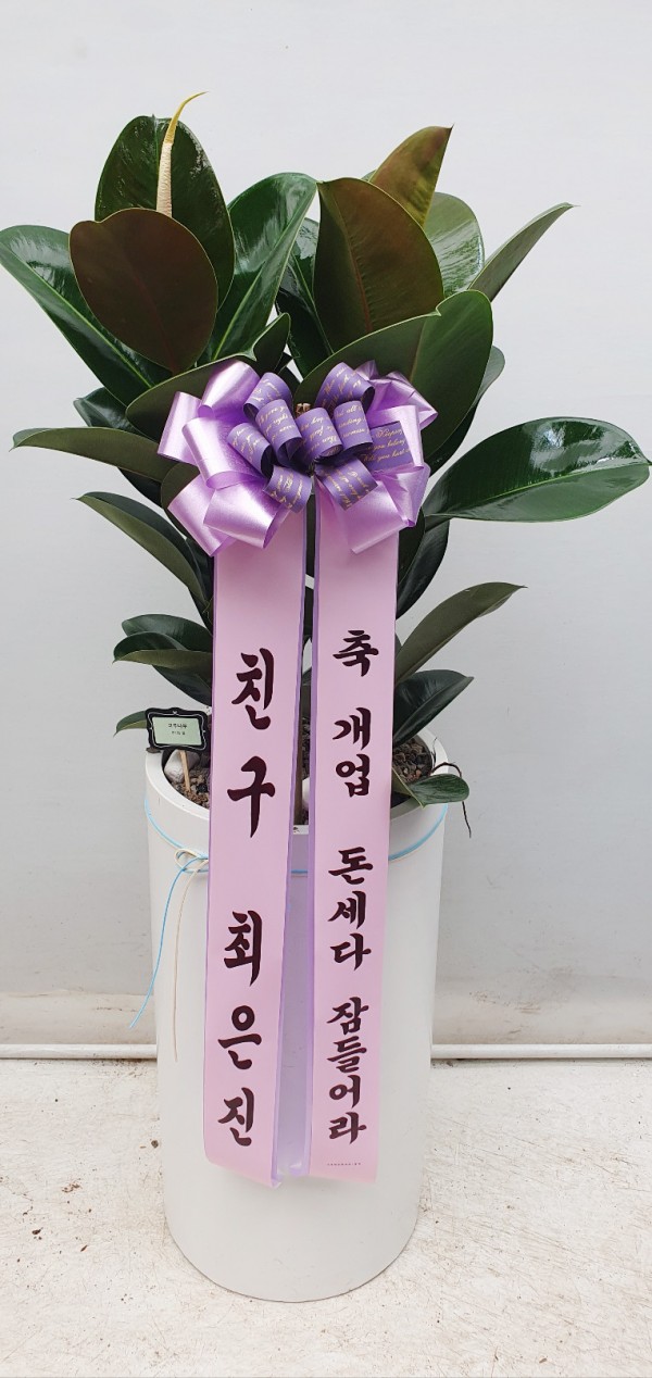 업로드 이미지