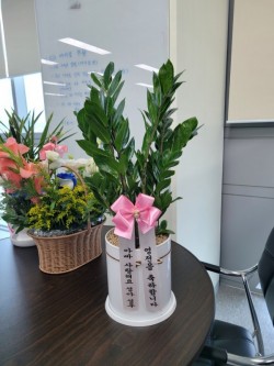 배송사진