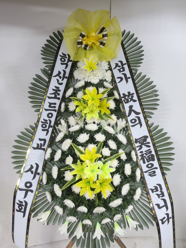 업로드 이미지