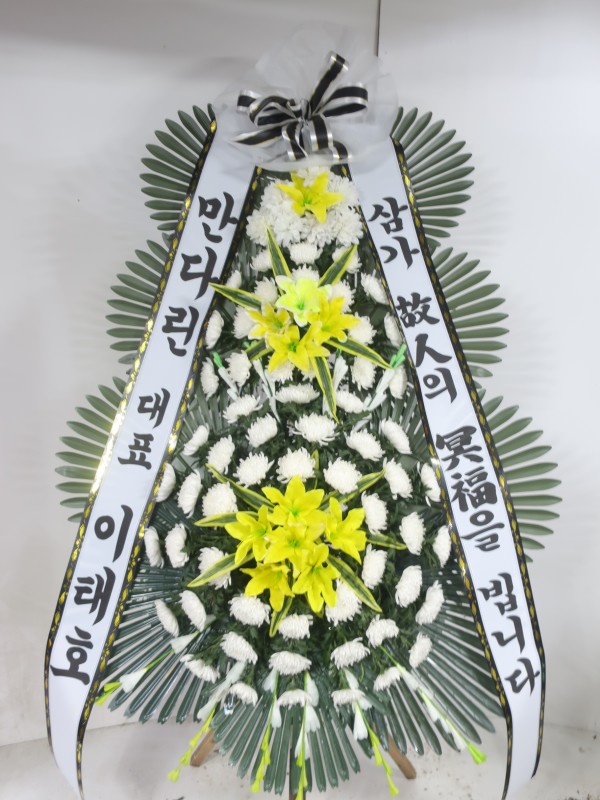 업로드 이미지