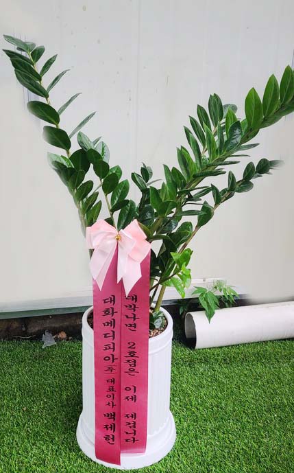 업로드 이미지