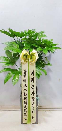 업로드 이미지