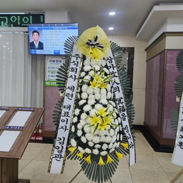 업로드 이미지
